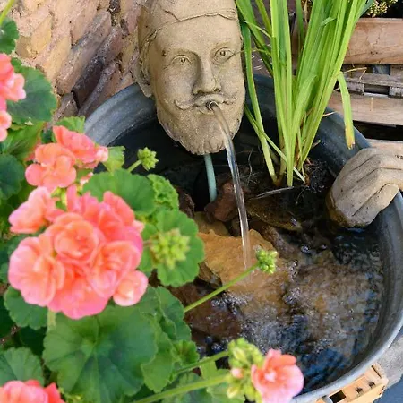 Teigenheim * Rüdesheim am Rhein