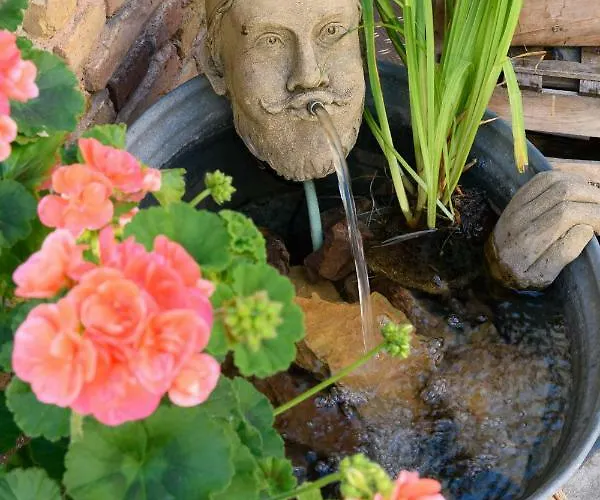 Teigenheim * 로데스하임암라인